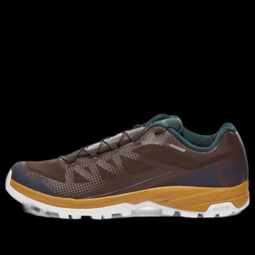 SALOMON Outpath GTX x and wander 'Brown'