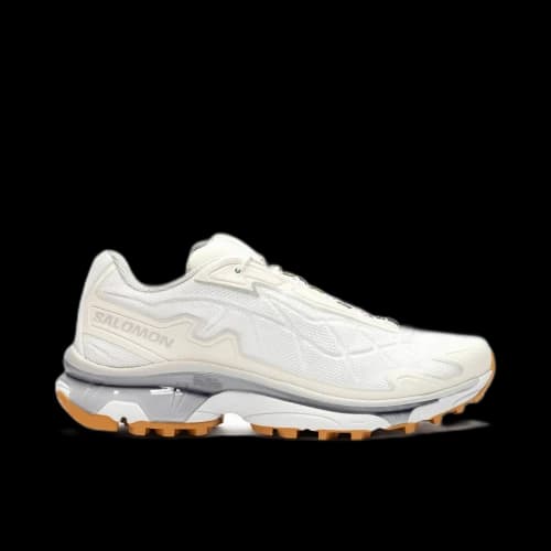 Salomon and wander x XT-Slate 'White'