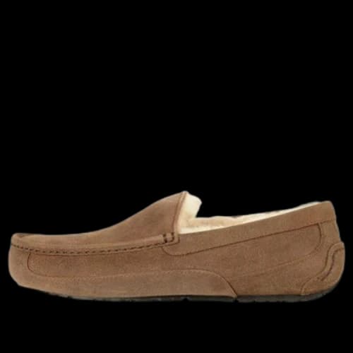 UGG Ascot 'Chestnut'