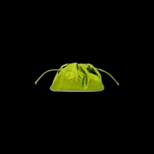Bottega Veneta The Mini Pouch 'Chlorophyll/Silver'