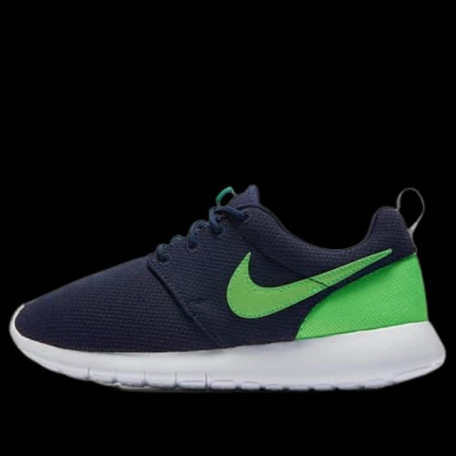 (GS) Nike Roshe One 'Blue Green'