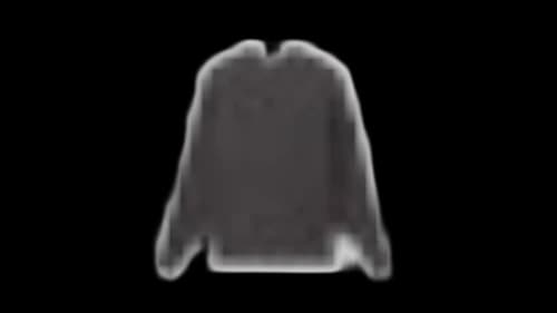 Stone Island Brushed Organic Cotton Fleece 6100008 Sweatshirt Black