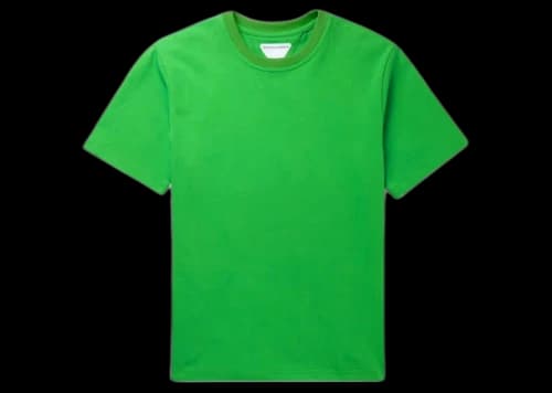 Bottega Veneta Mens Tshirt Parakeet
