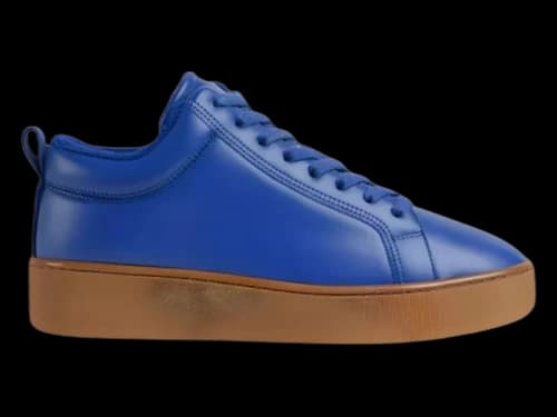 Bottega Veneta Stylish Skateboarding Blue