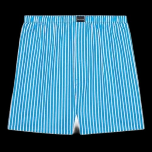 Balenciaga FW21 Striped Shorts 'Blue'