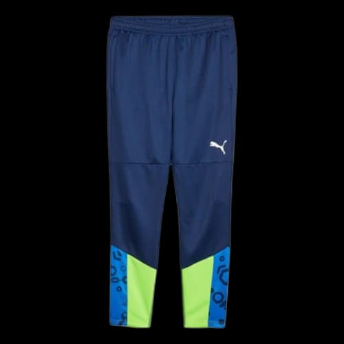 PUMA individualCUP Football Training Pants 'Blue Green'