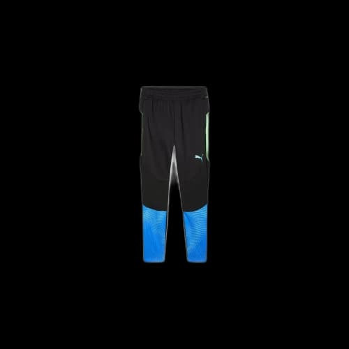 PUMA IndividualFINALDRYCELL Sports Pants Men's Black Blue Green