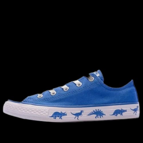 Converse Chuck Taylor All Star Canvas ShoesSneakers 'Blue White'