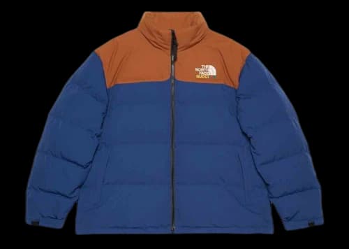 Gucci x The North Face Down Jacket Blue/Brown