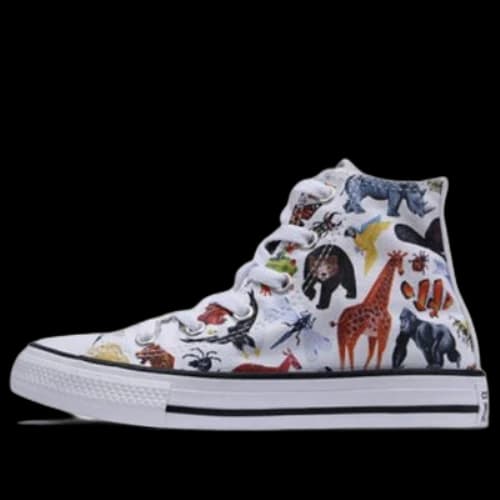 Converse Chuck Taylor All Star Science Class Hi