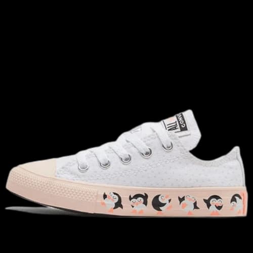 (GS) Converse Chuck Taylor All Star Big White/Pink