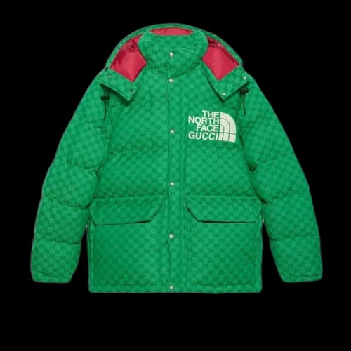 Gucci x The North Face Down Coat Green/Dark Green