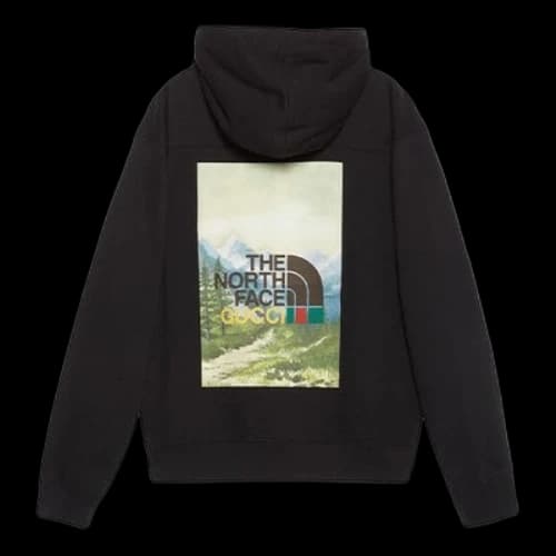 Gucci x THE NORTH FACE FW21 Hoodie 'Black'
