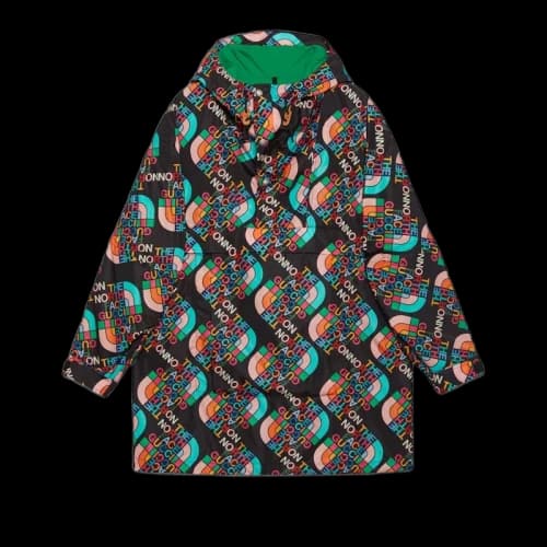 Gucci x The North Face Nylon Coat Multicolor/Black
