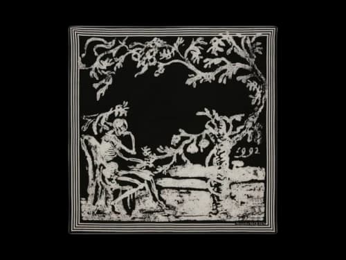 Alexander McQueen Skull-Print Scarf Black/White