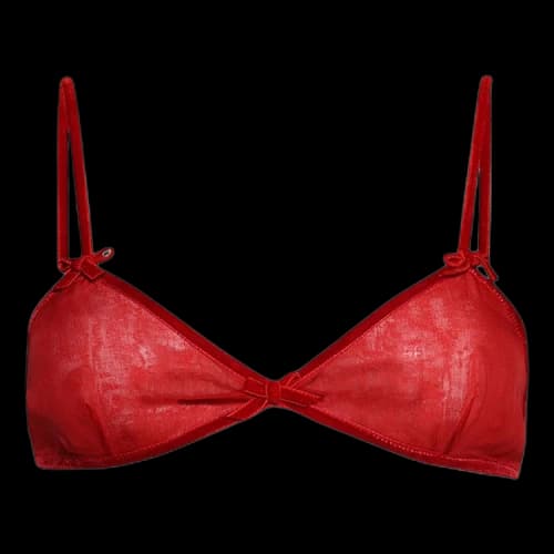 Valentino Bra 'Paris'