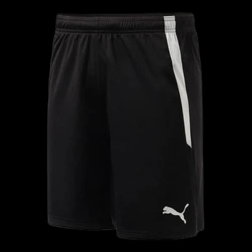 PUMA Team Liga Shorts 'Black'