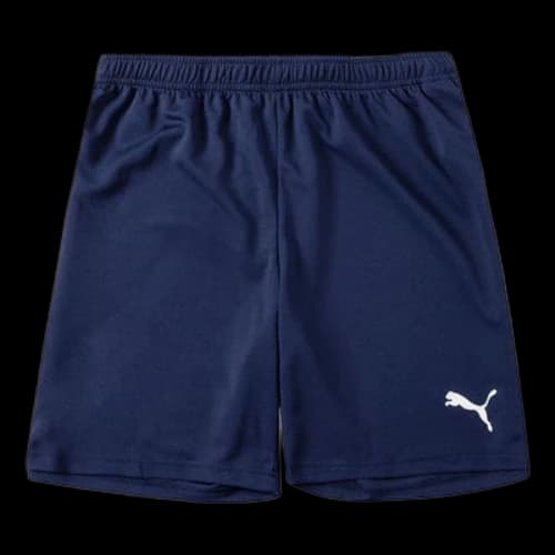 PUMA Team Rise Training Shorts 'Navy'