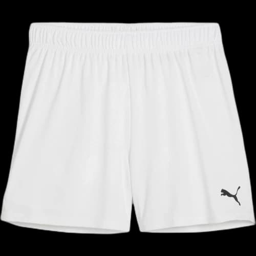 PUMA Teamgoal Soccer Bottom Women's