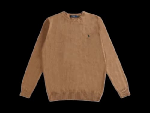 Polo Ralph Lauren Long Sleeve Garment-Dyed Oxford Sport Shirt Green