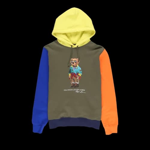 Polo Ralph Lauren Novelty Voyager Bear Hooded Sweatshirt 'Sage'