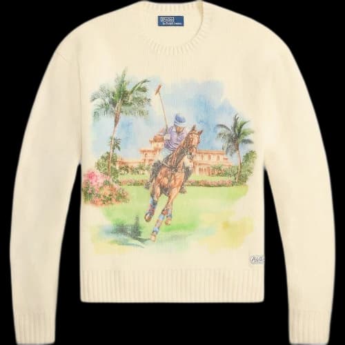 Polo Ralph Lauren printed crew neck sweater