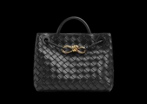Bottega Veneta Small Andiamo Black