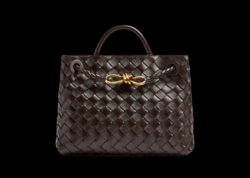 Bottega Veneta Small Andiamo Fondant