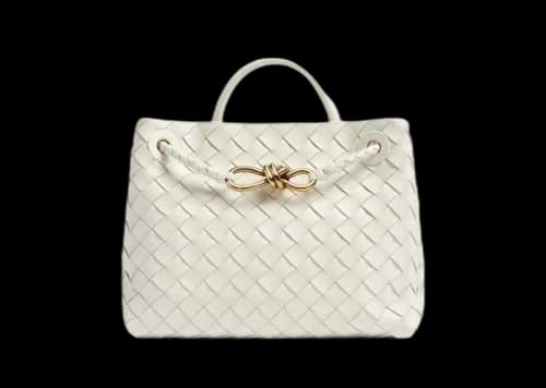 Bottega Veneta Small Andiamo White