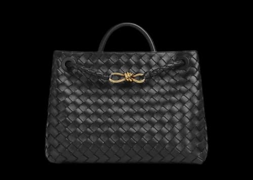 Bottega Veneta Medium Andiamo Black