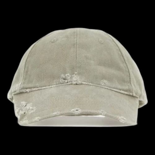 Balenciaga Dog Bite Cap 'Grey'