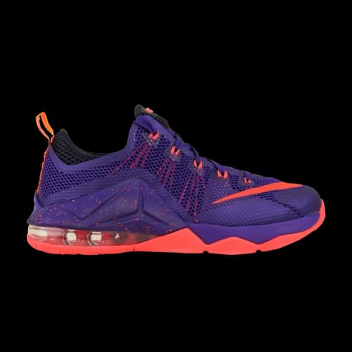 (GS) Nike Lebron 12 Low 'Purple'