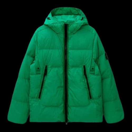 STONE ISLAND Wappen Patch Garment Dyckring Claup Nylon Down TC Hooded Padded 'Green'