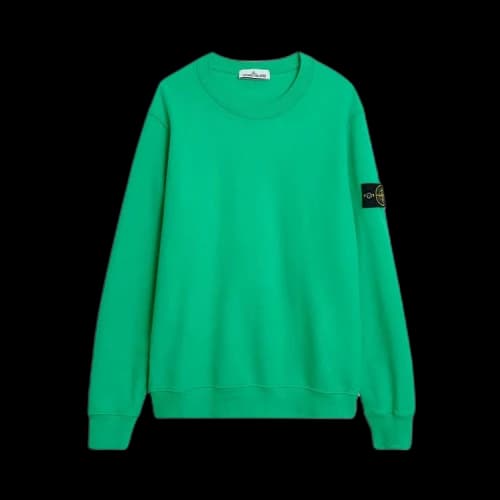 Stone Island Sweatshirt 'Green'
