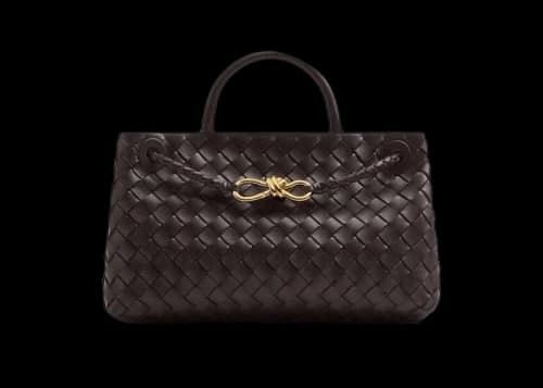 Bottega Veneta Small East/West Andiamo Fondant