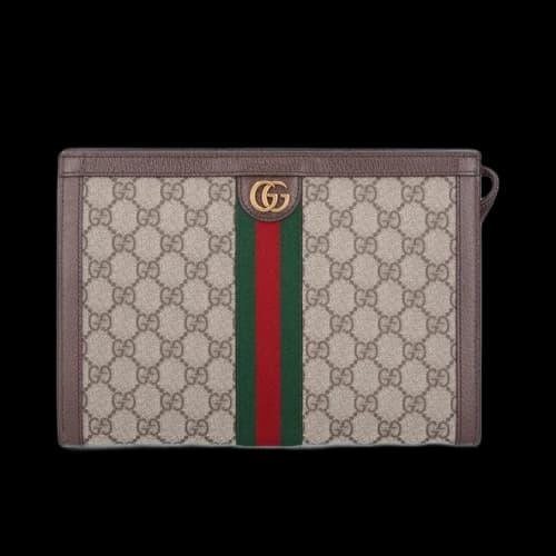 Gucci Small Pouch Ophidia'