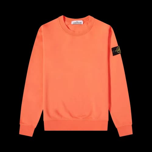 Stone Island Crewneck Sweatshirt 'Orange'