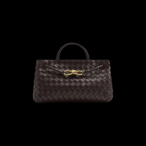 Bottega Veneta East-West Andiamo Bag 'Fondant'