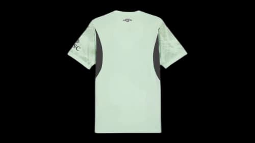 Puma AC Milan Goalkeeper Crew Neck Short Sleeve Soccer Jersey Fresh Mint