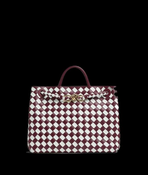 Bottega Veneta Medium Andiamo Bag Barolo/Glacier