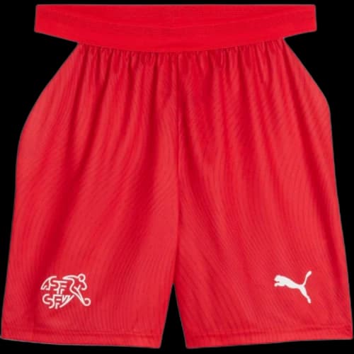 PUMA Switzerland Soccer Bottom Men's