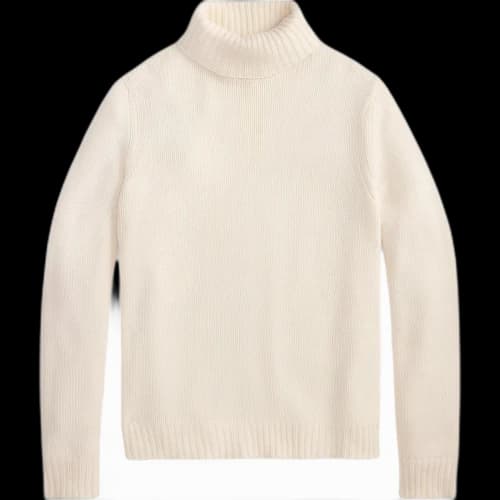 Ralph Lauren Purple Label turtleneck sweater