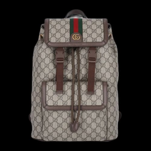 Gucci Small Ophidia' Backpack