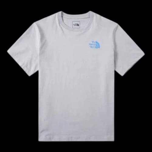 THE NORTH FACE Faded Box T-Shirt 'Grey'