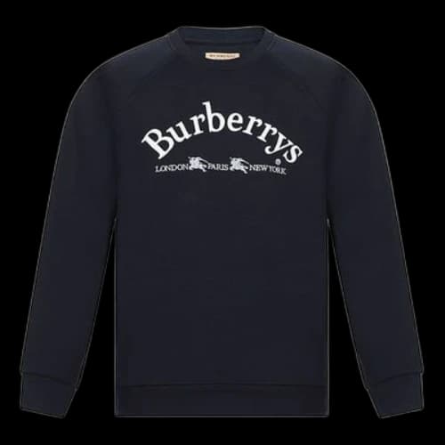 Burberry Embroidered Logo Casual Navy Blue