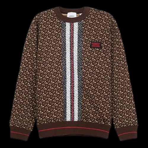 Burberry FW20 Full Print Stripe Classic Brown