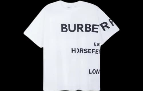 Burberry SS21 Horseferry Logo Men's White