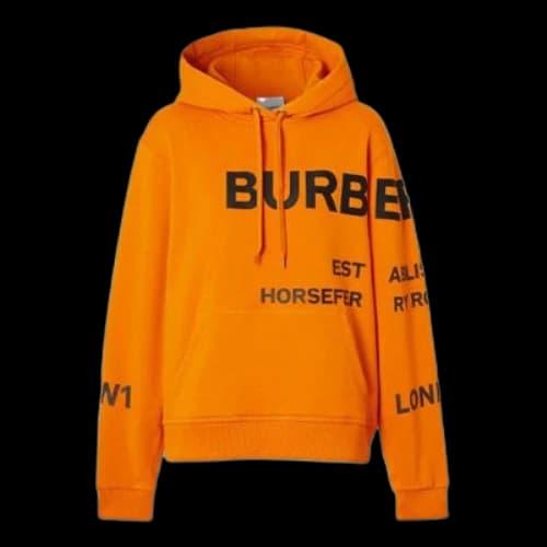 Burberry Horseferry Prints Cotton Loose hooded sweatshirt 'Orange' (Women's)