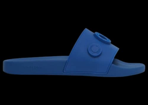 Burberry Logo Slide Blue