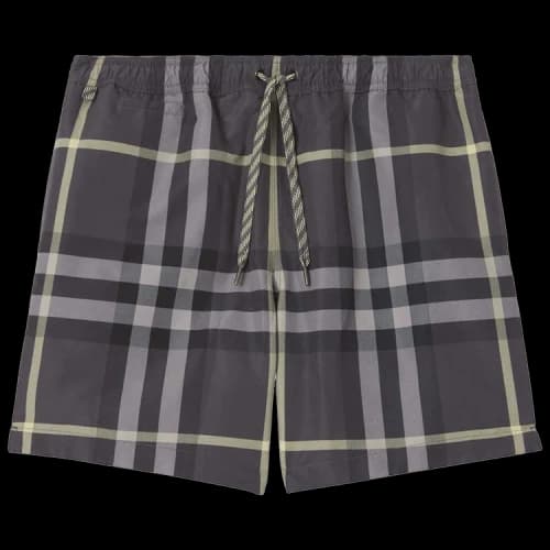 Burberry Checked Martin Swim Shorts Grey